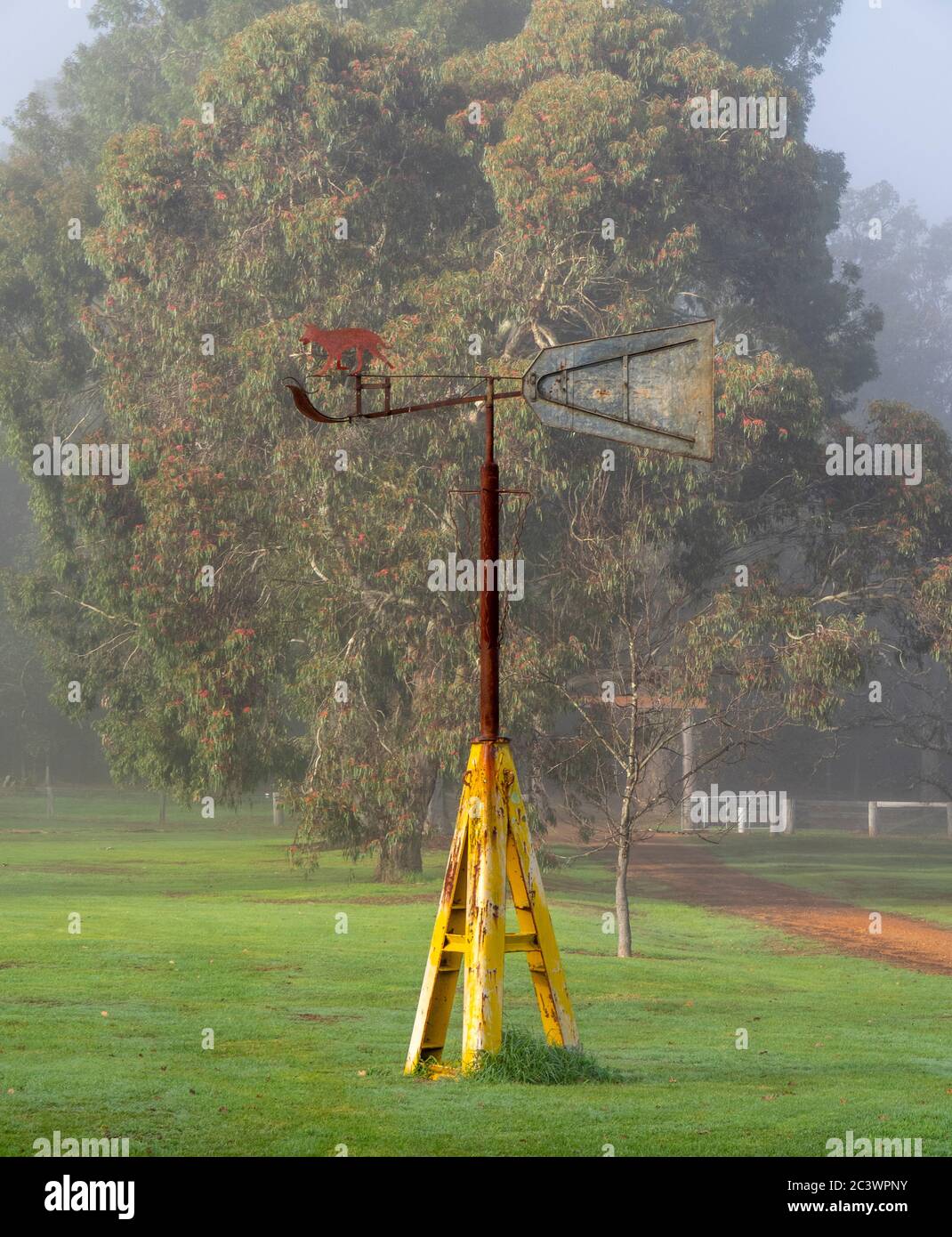 metal weathervane in a paddock on a farm in Southwest Western Australia Stock Photo Alamy