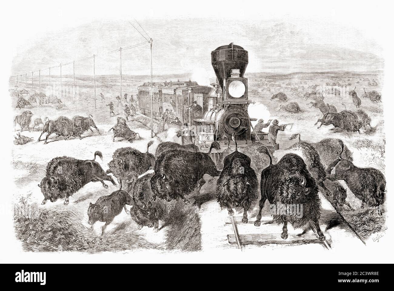 Shooting buffalo on the Kansas-Pacific Railroad line.  After a work by an unidentified artist which appeared in the June 3, 1871 edition of Frank Leslie's illustrated newspaper.  The mass slaughter of buffalo in the USA reduced the wild herds from tens of millions to near extinction. This picture reflects the advertising of railroad companies that a passenger could “hunt by rail.” Stock Photo