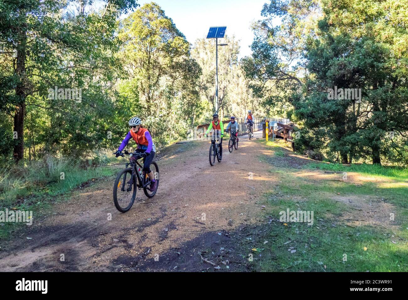 Cyclists riding mountain bikes cycling Old Timberline Trail route
