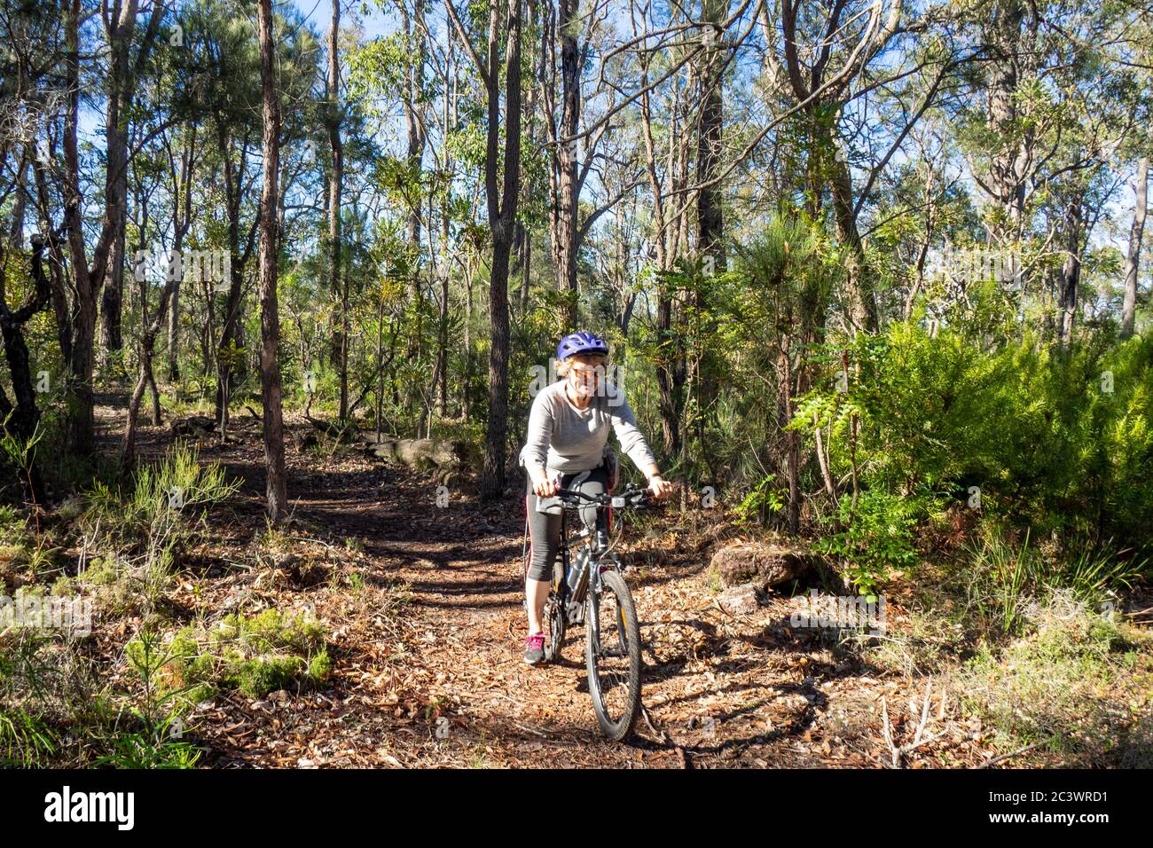 Cyclist riding mountain bike cycling Old Timberline Trail route through