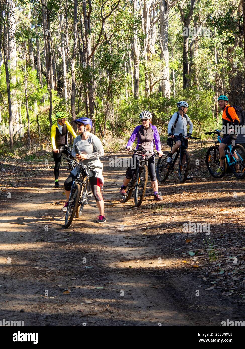 Cyclists riding mountain bikes cycling Old Timberline Trail route