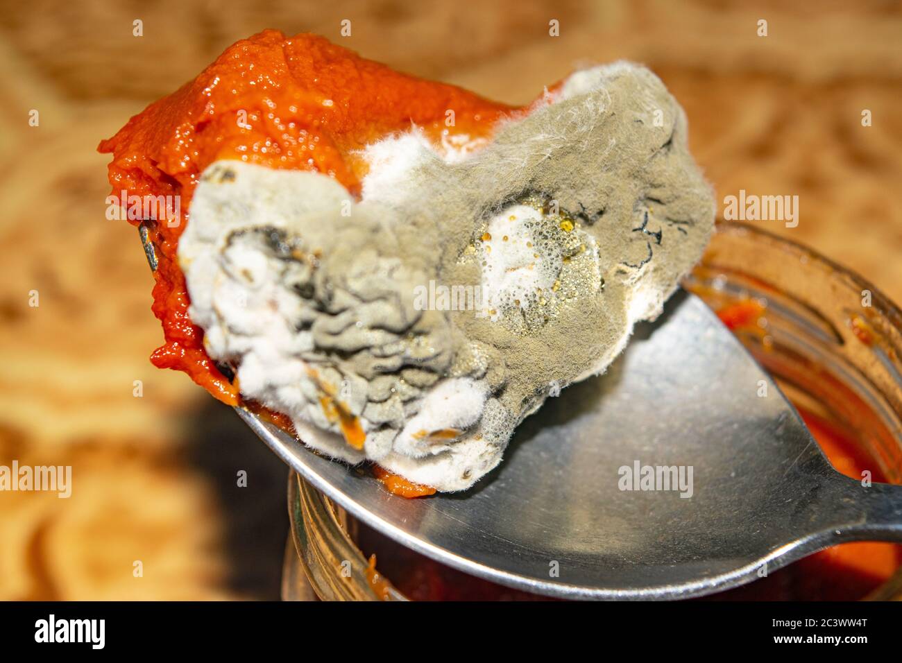 Mold growing on the tomato paste. Close up Stock Photo