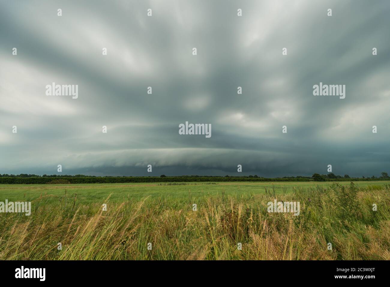 Severe thunderstorm with shelf cloud over the dutch landscape Stock Photo