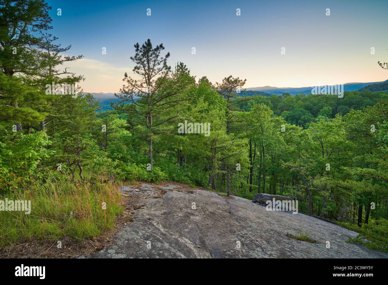 Exposed rock face with pine trees at sunset. Stock Photo