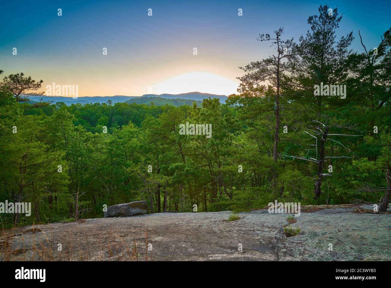 Exposed rock face with pine trees at sunset. Stock Photo