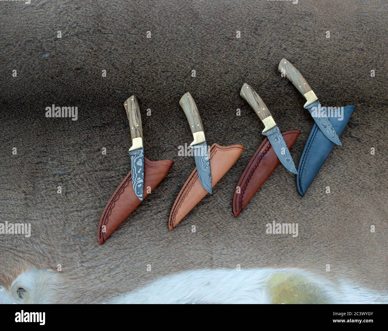 Four damascus hunting knives each with a unique blade pattern are pretty, durable, useful and collectors items. These are displayed on a tanned whitet Stock Photo