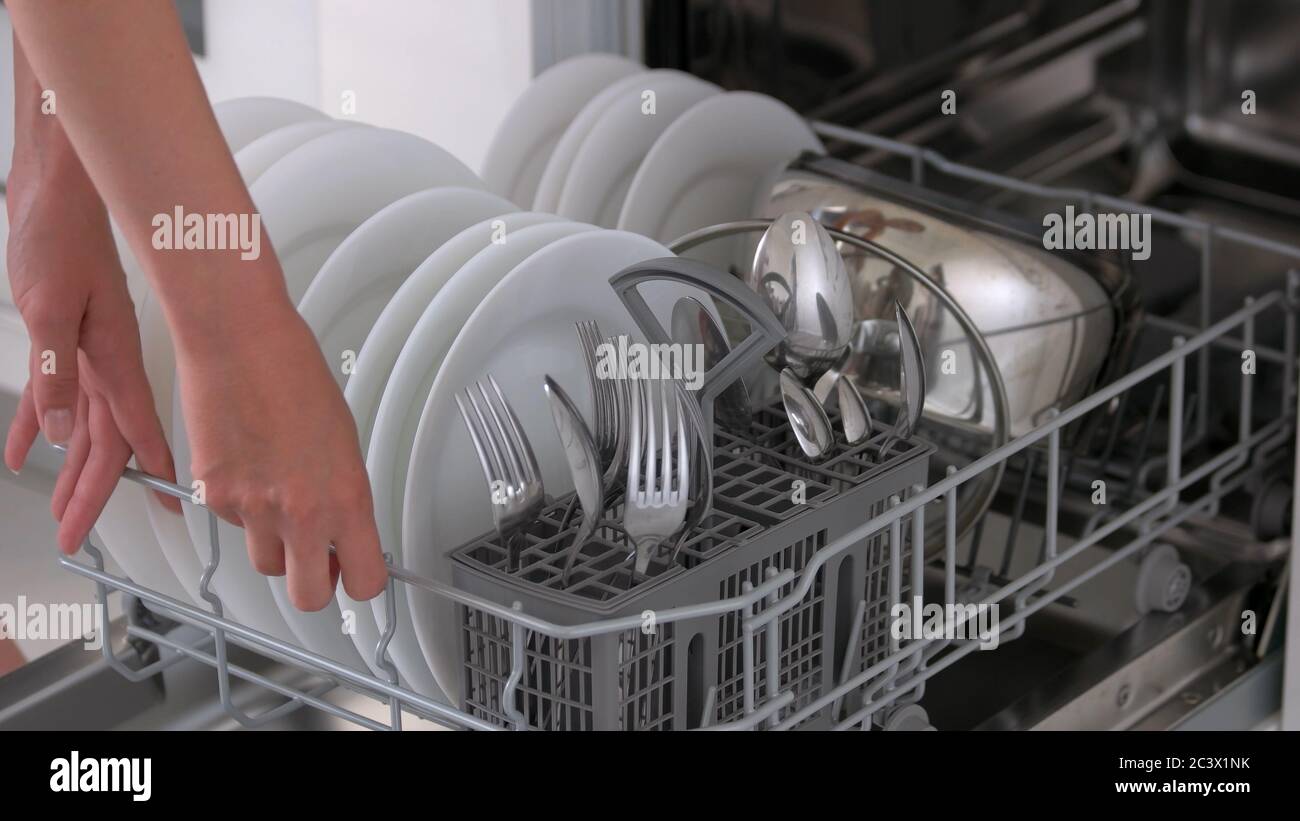 dish plate washing machine