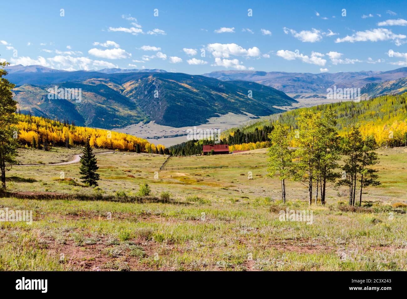 Aspen trees in the fall season Creede Colorado Stock Photo