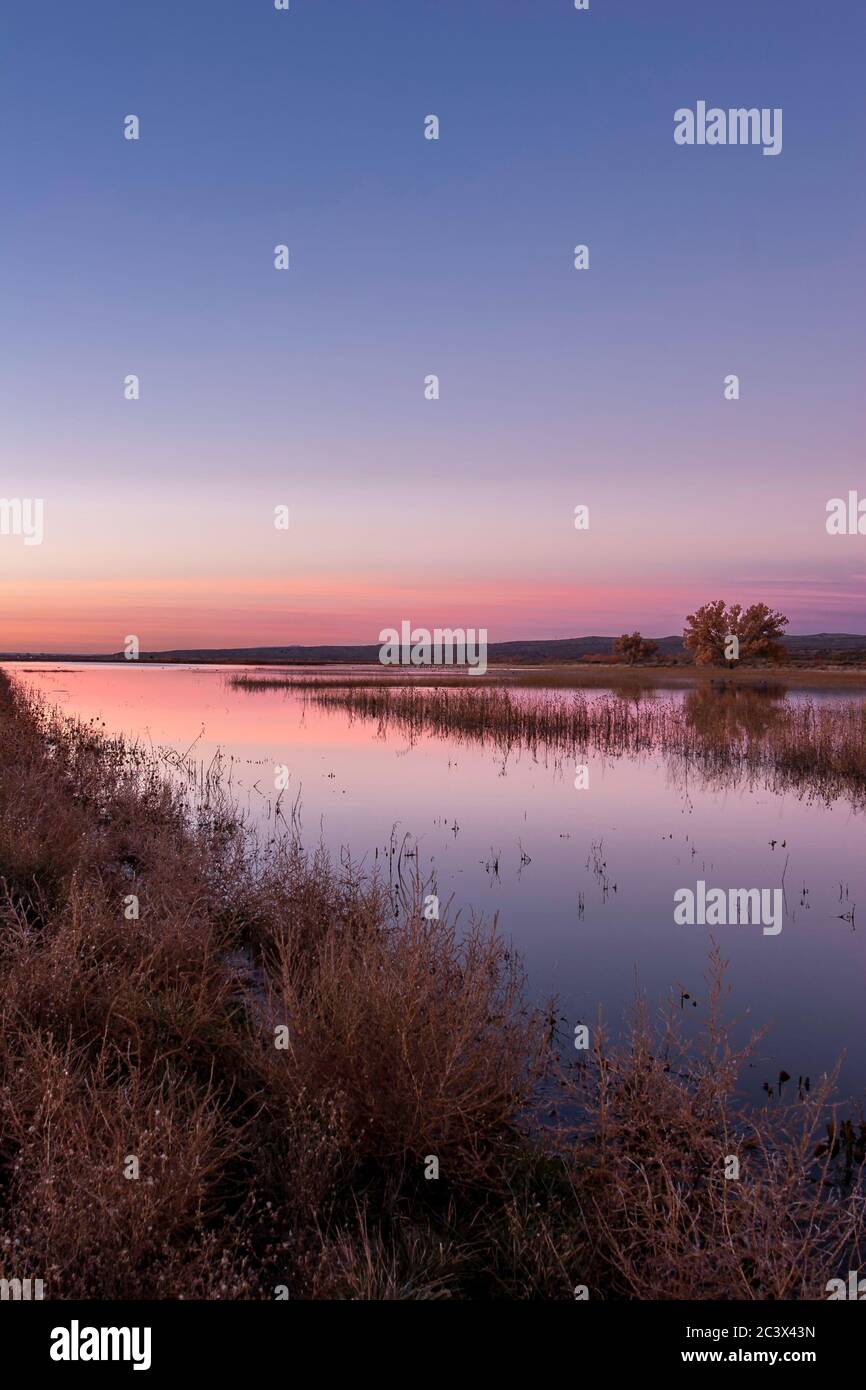 Pond in early morning, Bosque del Apache National Wildlife Refuge, New