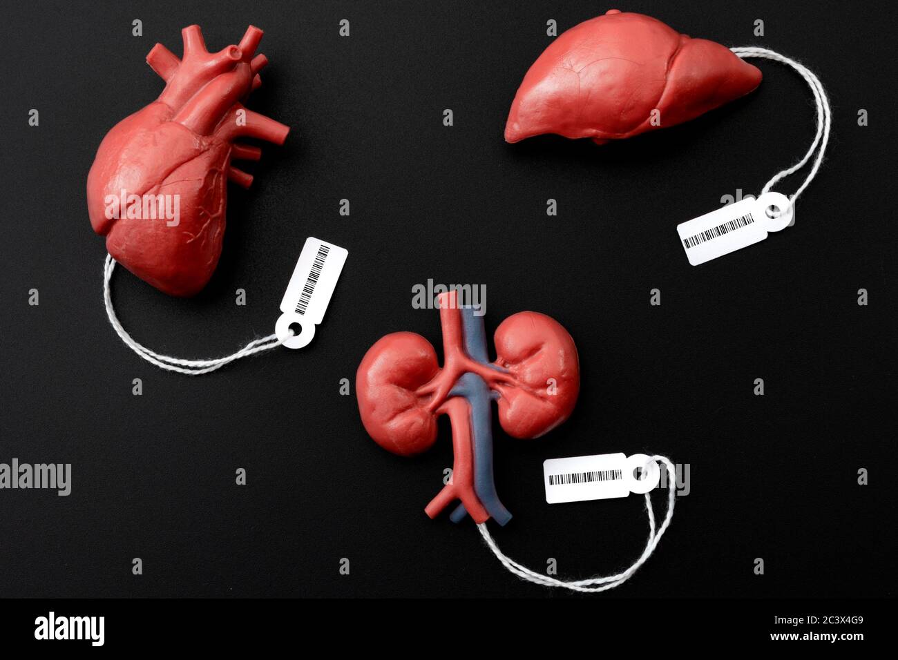 Modern day slavery, illegal trade of human organs on the black market and forced organ harvesting of death row inmates concept theme with a liver Stock Photo