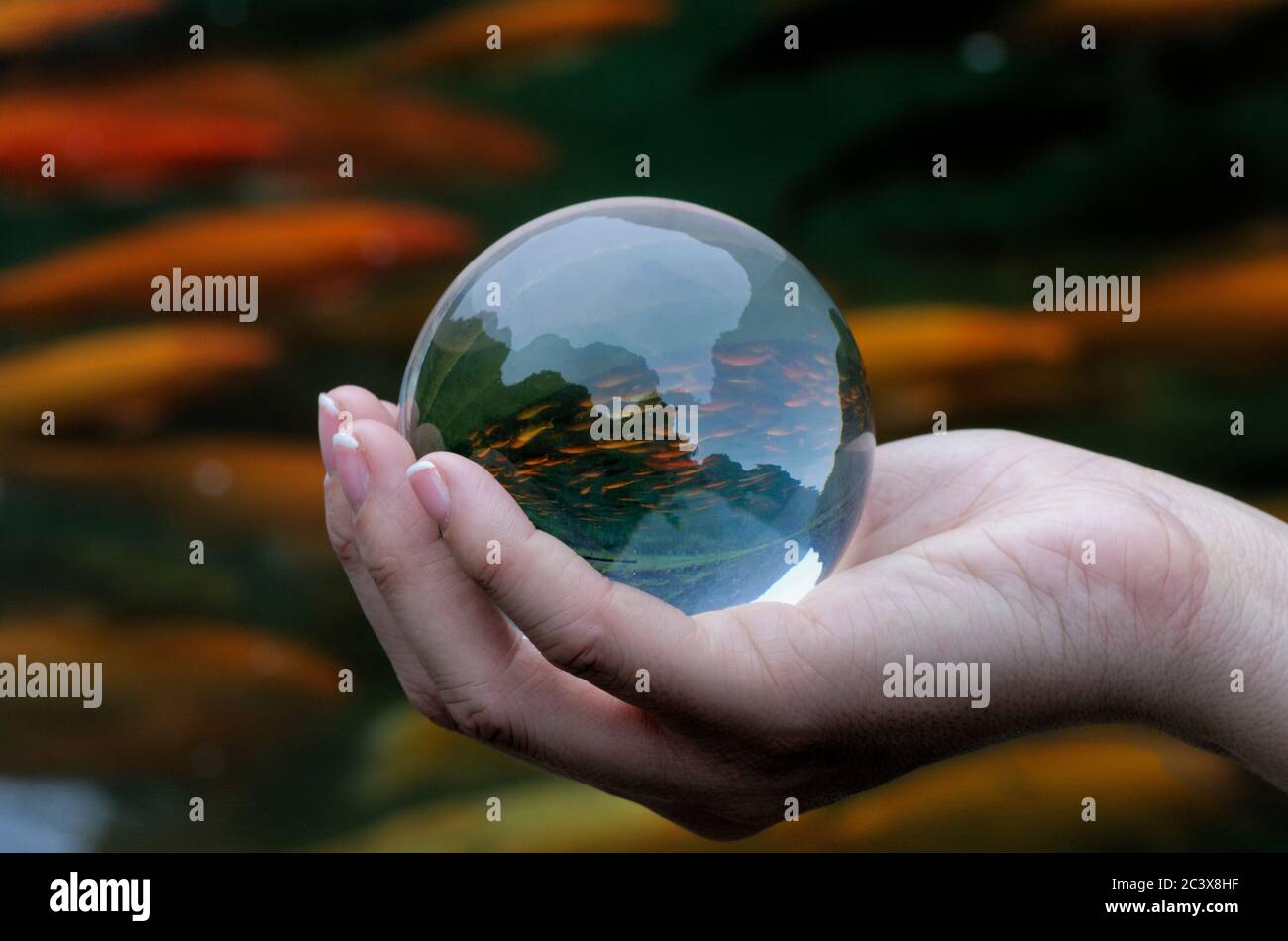 fish in hand Stock Photo - Alamy