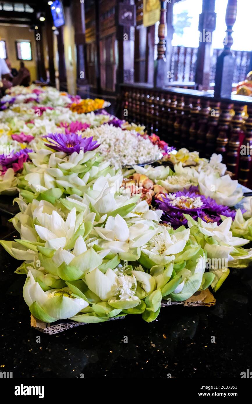 Colorful flower offerings to Buddha inside the temple of the sacred tooth in Kandy, Sri Lanka. Act of worship and a part of Buddhist praying ceremony Stock Photo