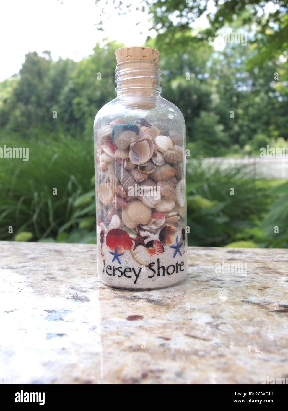 Seashell collection in a bottle with "Jersey Shore" and cork stopper