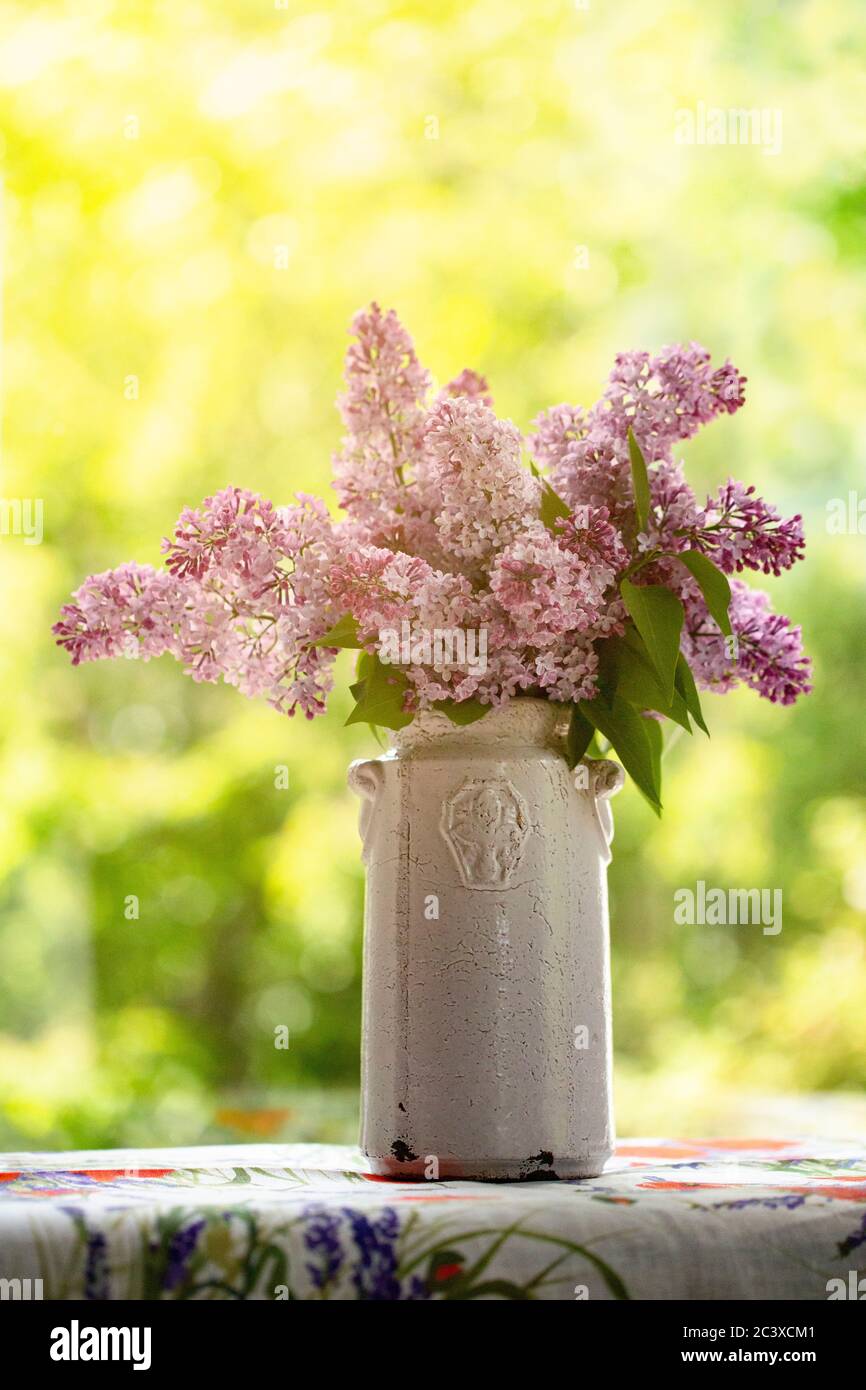 Lilacs from the garden. Stock Photo