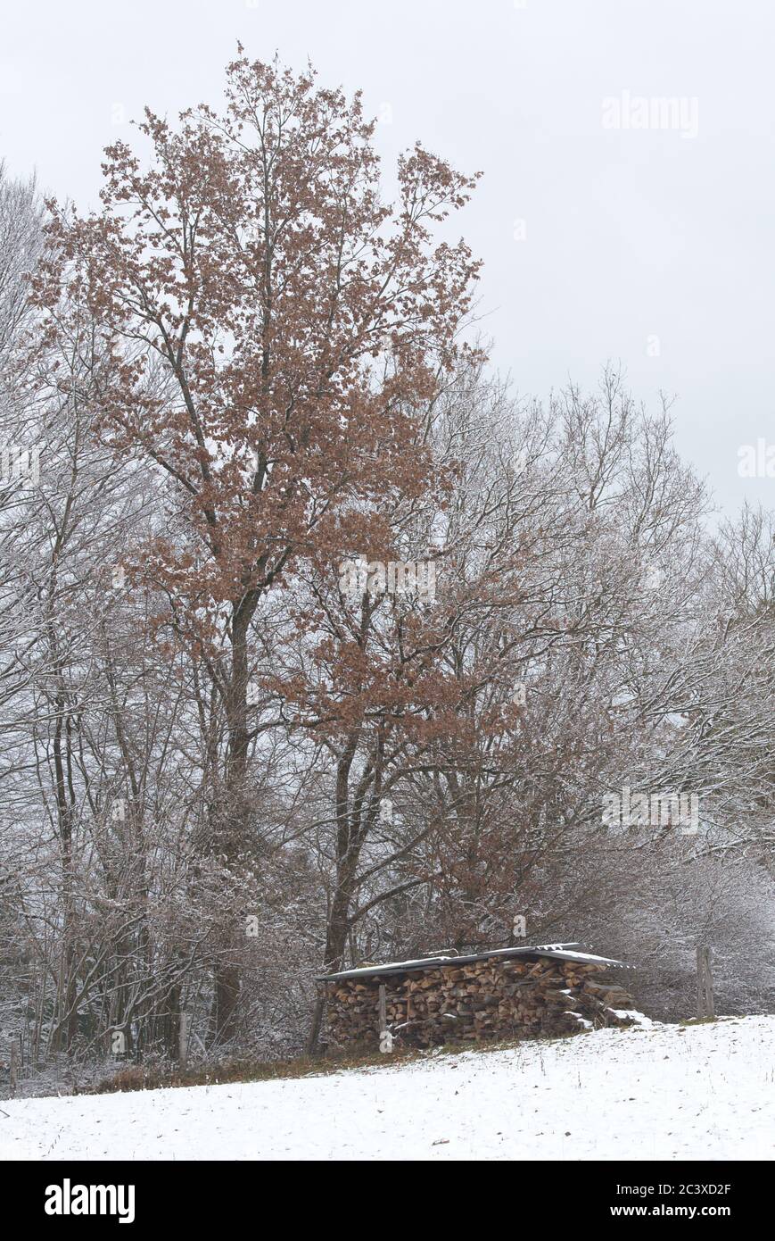 Winterlandschaft mit Holzstapel Stock Photo