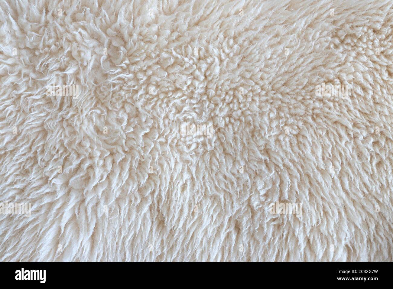 Texture of wool skin. Sheep skin closeup, background, banner Stock Photo