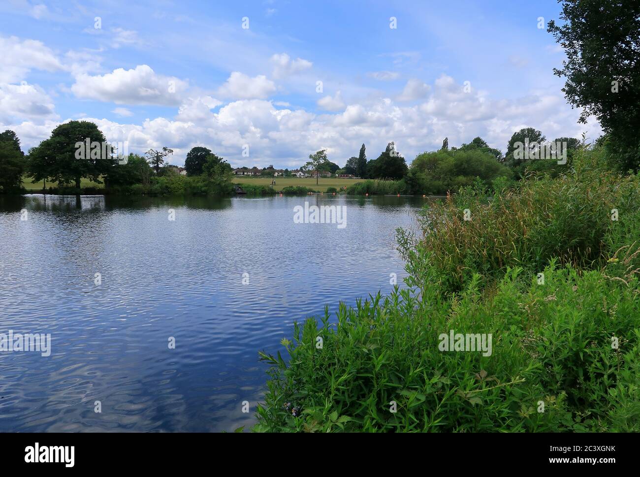 Danson park and the lake surrounded by trees and bushes Stock Photo Alamy