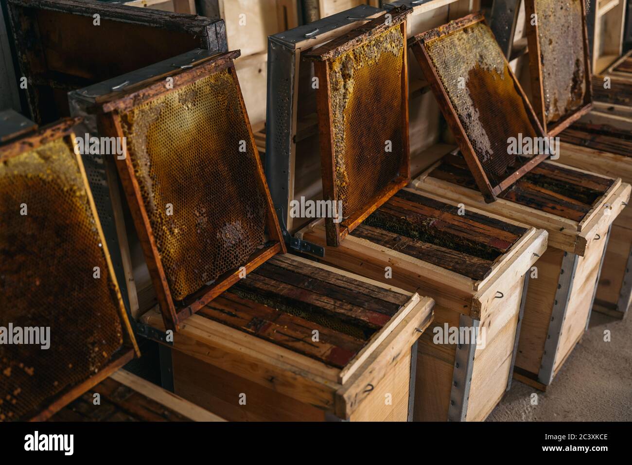 Close up of a Wooden beehive and bees. Beekeeping concept. Stock Photo