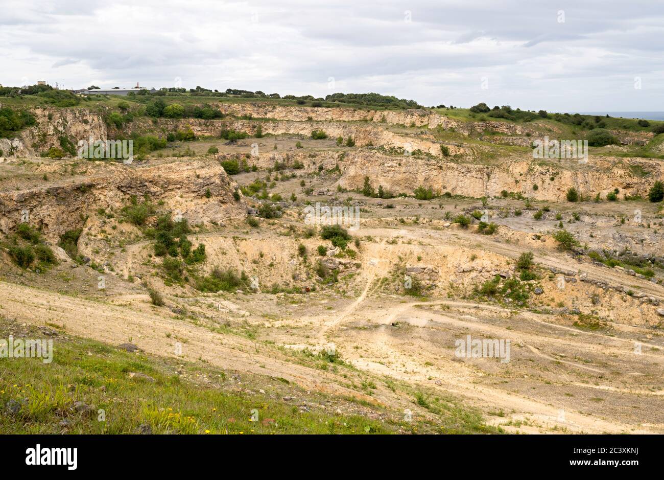 Hawthorn quarry, once an important source of Magnesian Limestone, but