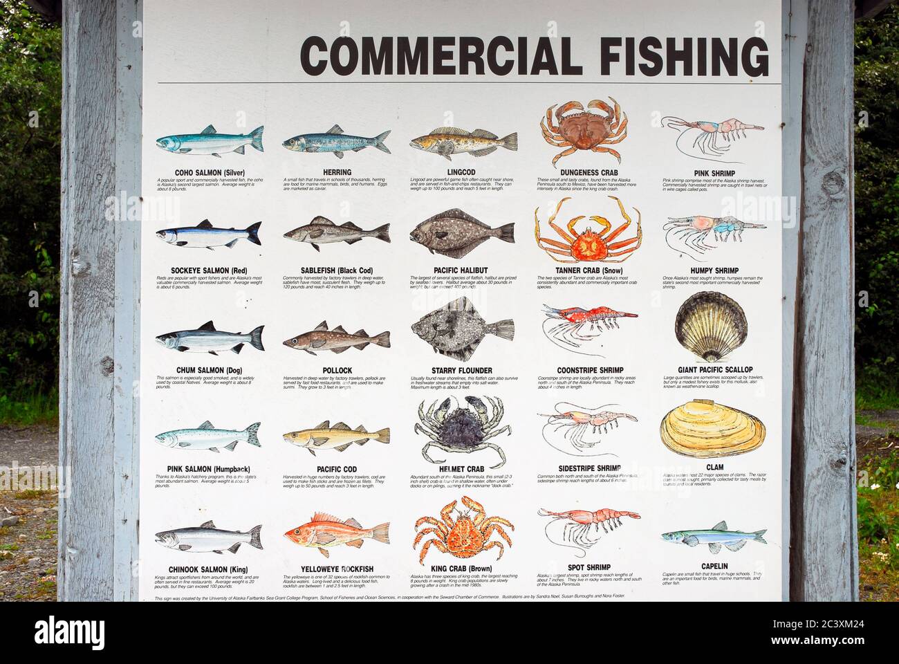 Commercial fishing list in the Pacific Ocean Stock Photo