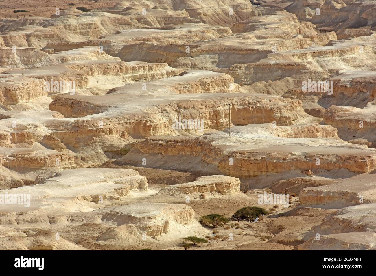 Marl near the dead sea, Israel Stock Photo