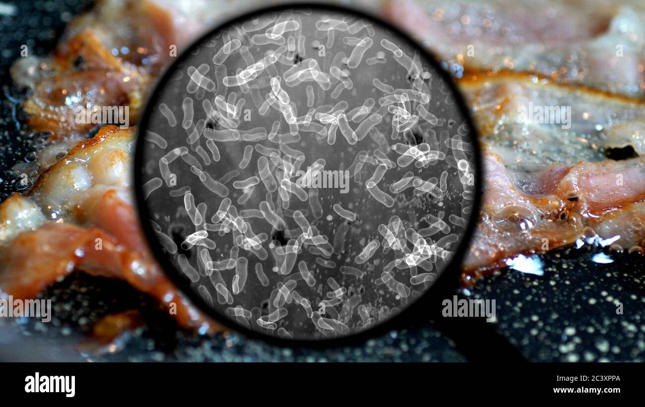 Searching for bacteria on BBQ meat Stock Photo Alamy