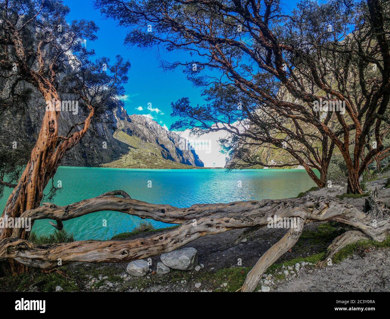 turquoise lake, trunks and trees, mountains and blue sky Stock Photo