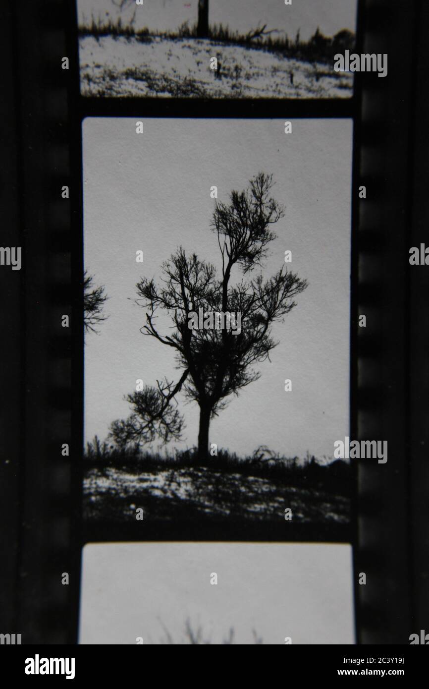 Fine 70s vintage contact print black and white photography of a simple ...