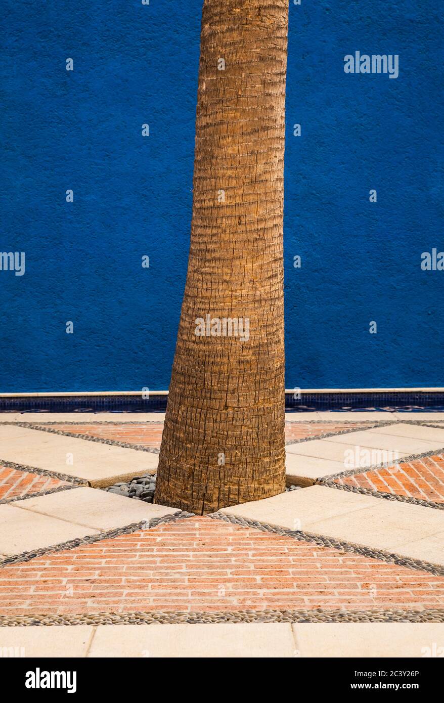 A detail from the courtyard in Hotel Casa Natalia, San Jose del Cabo, B.C.S., Mexico. Stock Photo