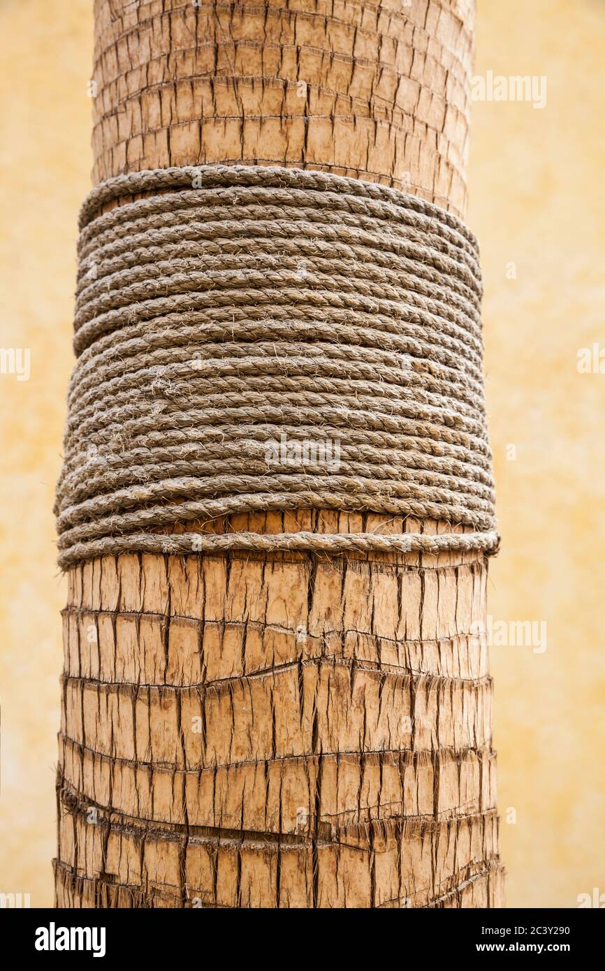 Rope Wrapping High Resolution Stock Photography and Images - Alamy