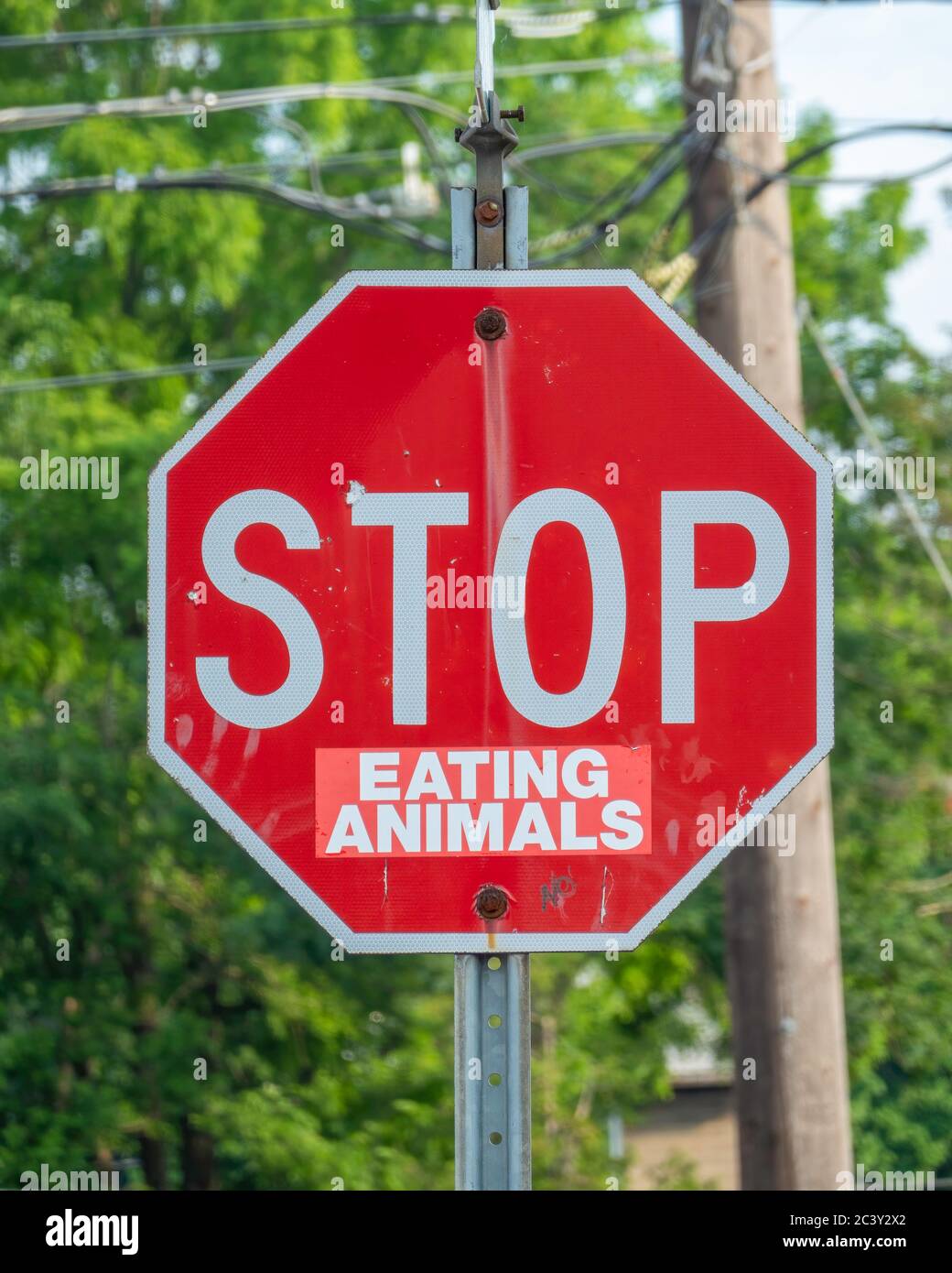 Animal rights activists have defaced a stop sign to get their stop eating animals message across to many people. Stock Photo