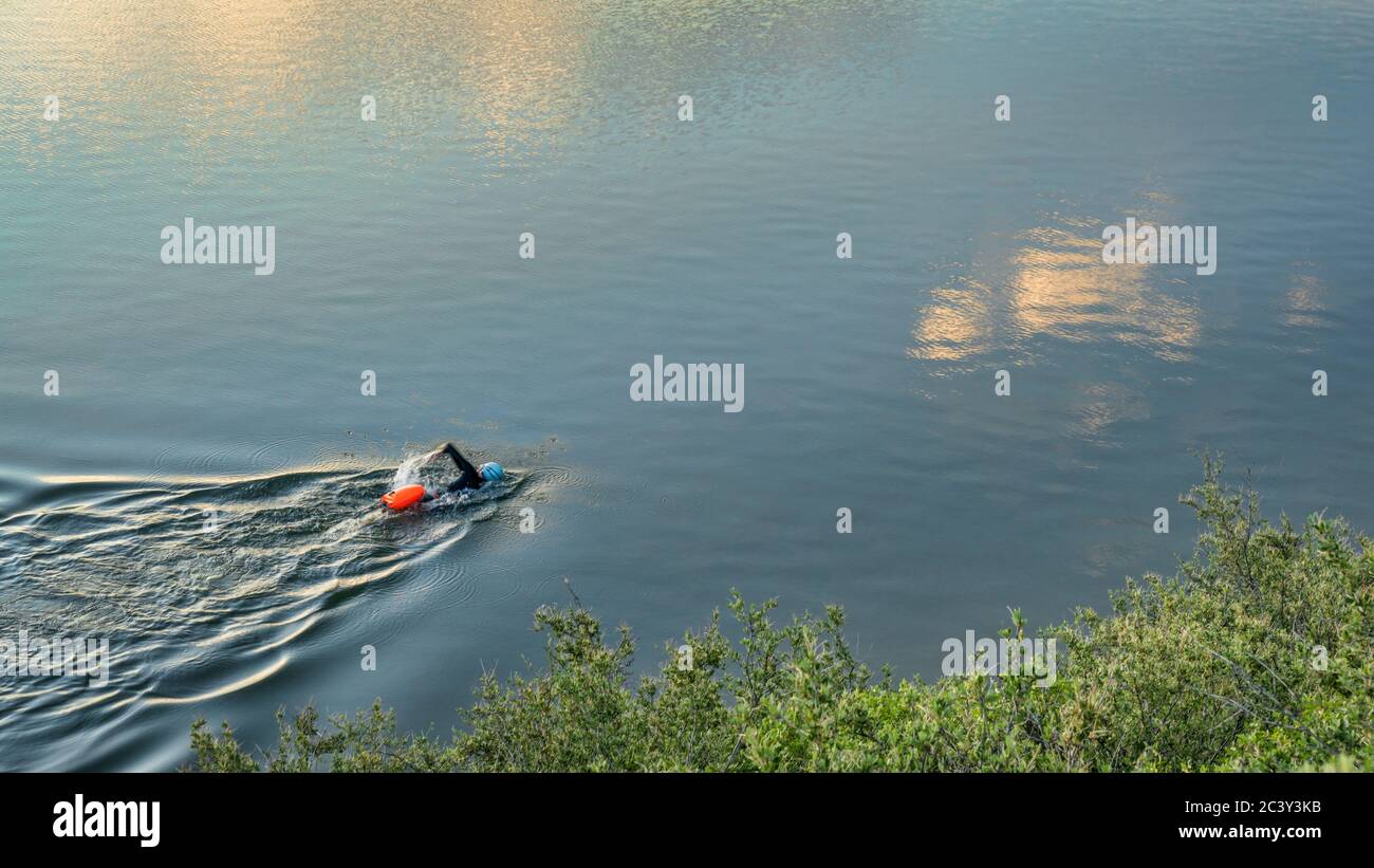 open water swimmer with a swim buoy on a calm lake, summer morning workout Stock Photo