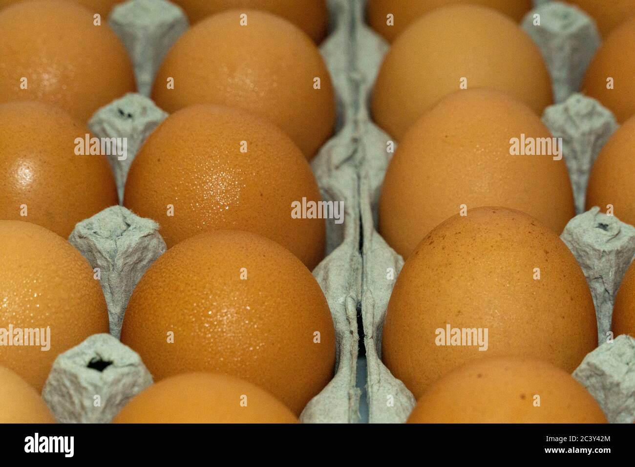 Eggs Brown Large organized nicely in lines in egg carton close up stock photograph Stock Photo