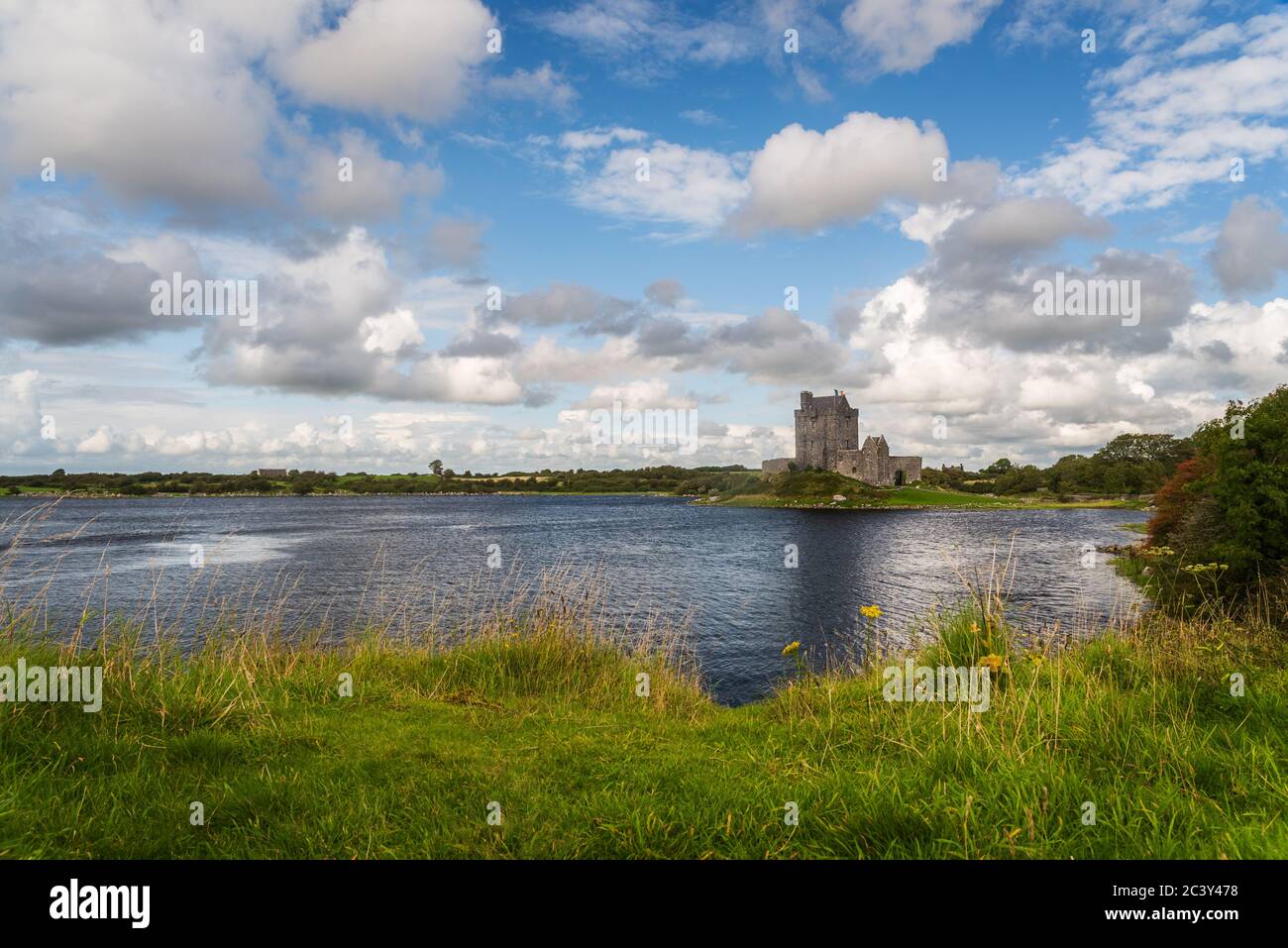 Castle of Dunguaire in Ireland Stock Photo - Alamy