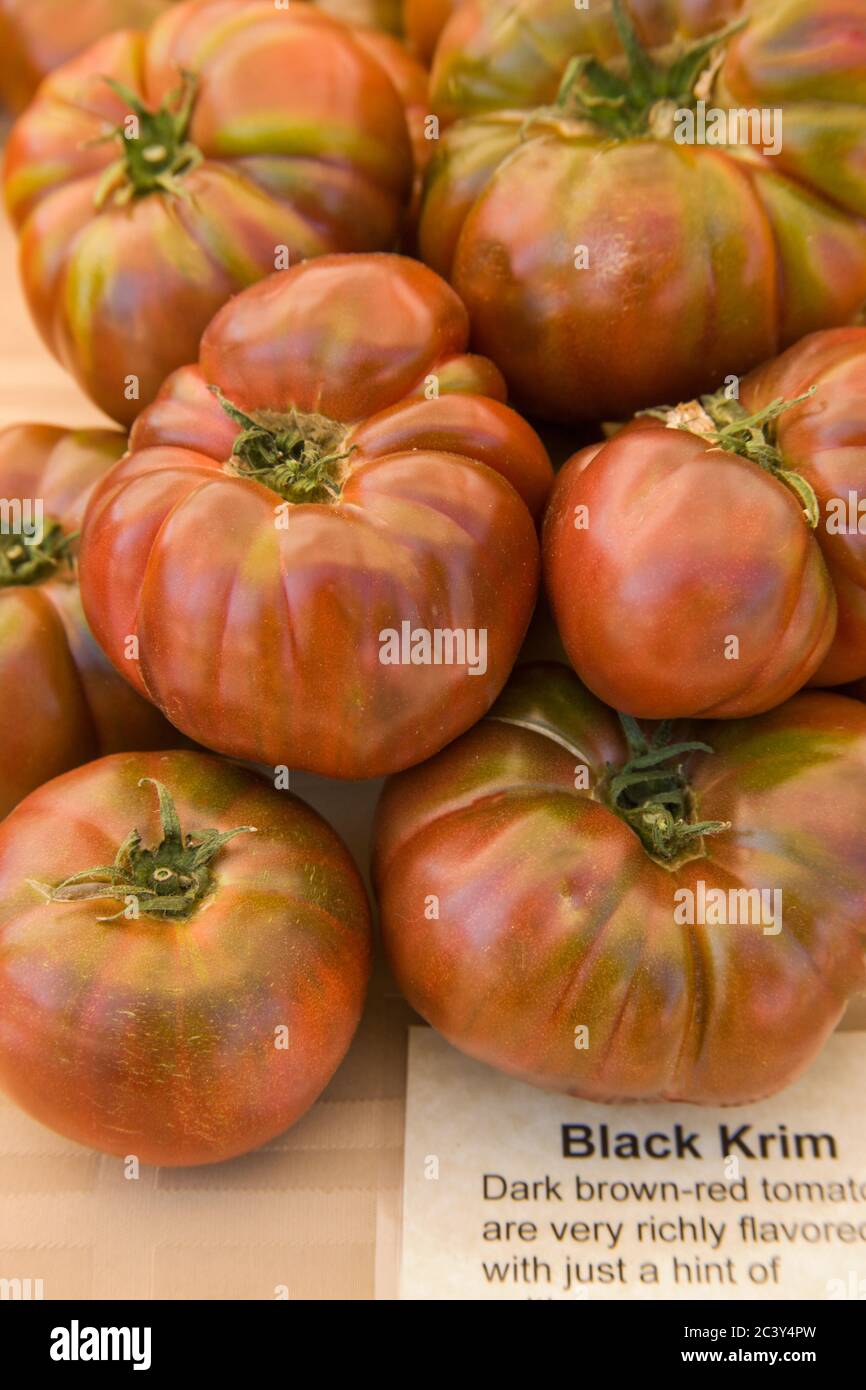 Pile of Black Krim heirloom tomatoes at a farmers market in Issaquah, Washington, USA.  This rare, and outstanding black, heirloom tomato yields 3-4' Stock Photo