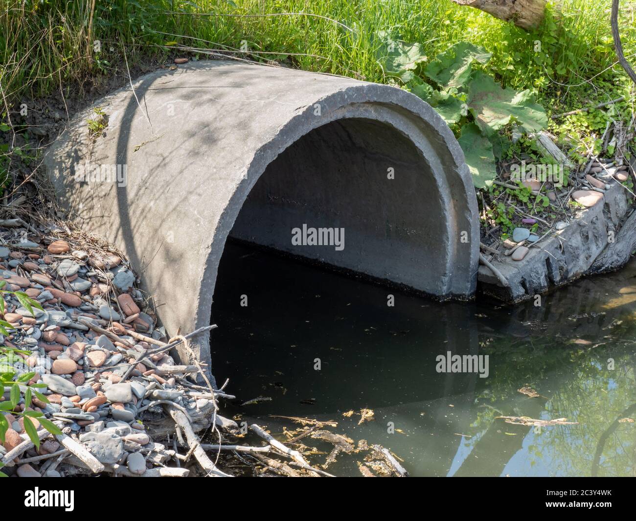 a large concrete drain culvert filled with polluted water surrounded by green bushes Stock Photo