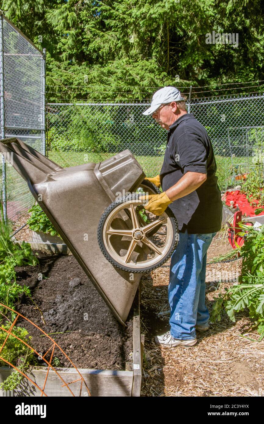 Man lifting wheelbarrow hi res stock photography and images Alamy