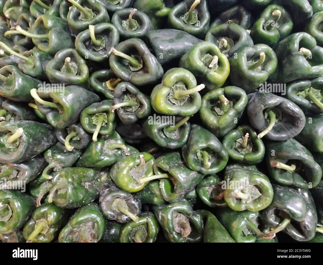 background with poblano peppers from Mexico Stock Photo
