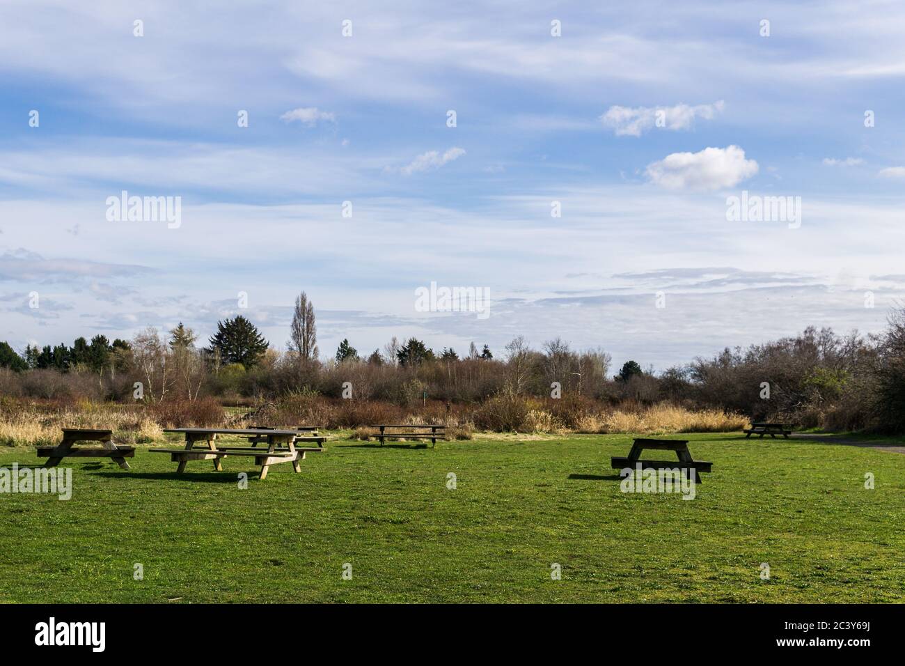 picnic tables on green lawn in beautiful Terra Nova Rural Park Richmond