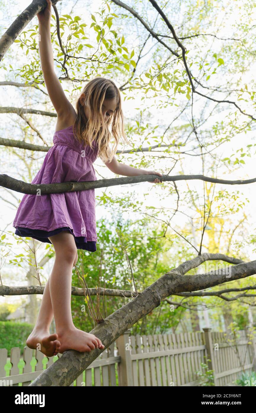 Girl (6-7) climbing tree Stock Photo