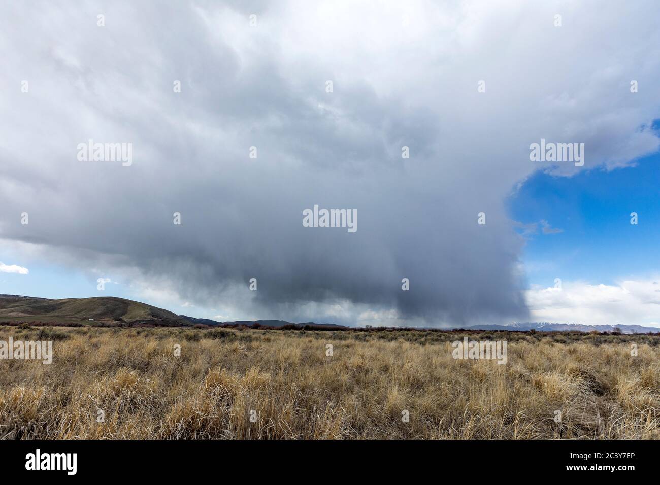 USA, Idaho, Picabo, Storm clouds over fields Stock Photo