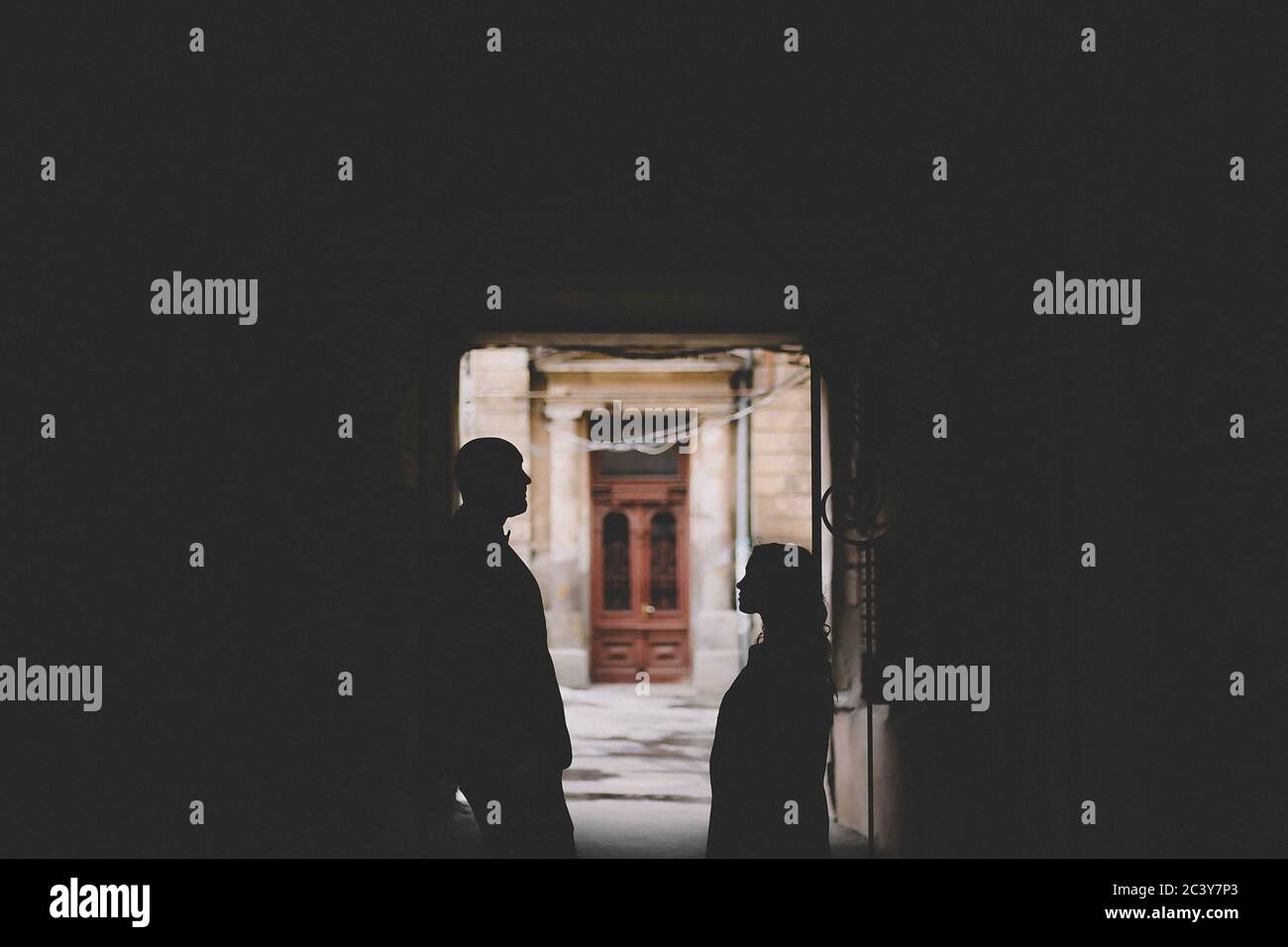 Silhouettes of newlywed standing in gate Stock Photo