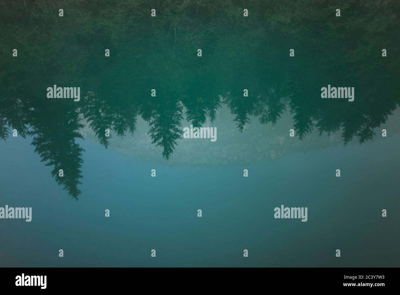 Upside down pine trees hi-res stock photography and images - Alamy