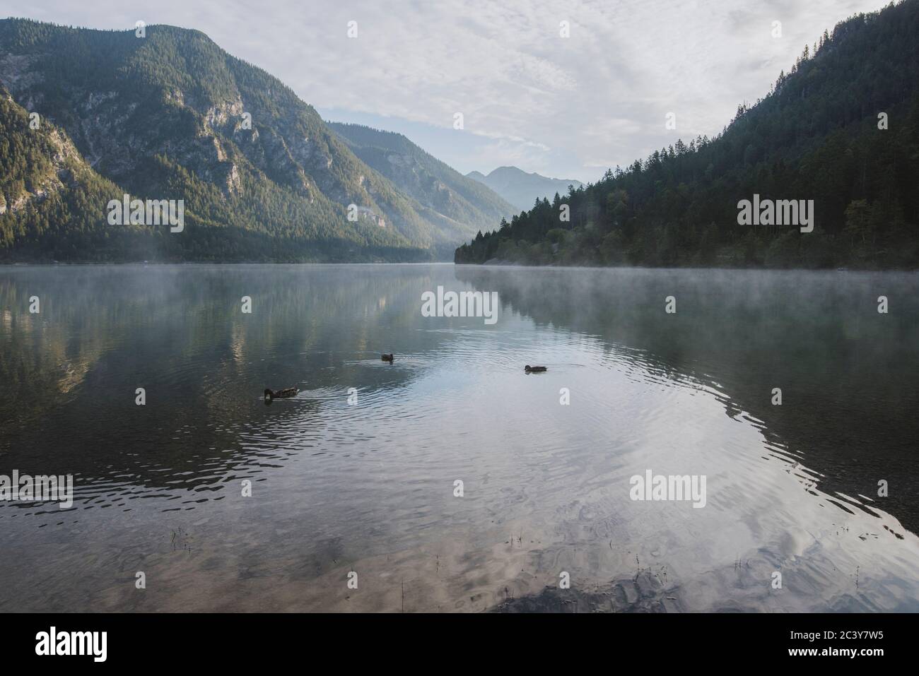 Austria, Plansee, Lake Plansee at sunrise in Austrian Alps Stock Photo
