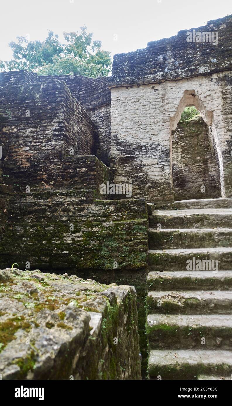 Belize, View of ancient ruins Stock Photo