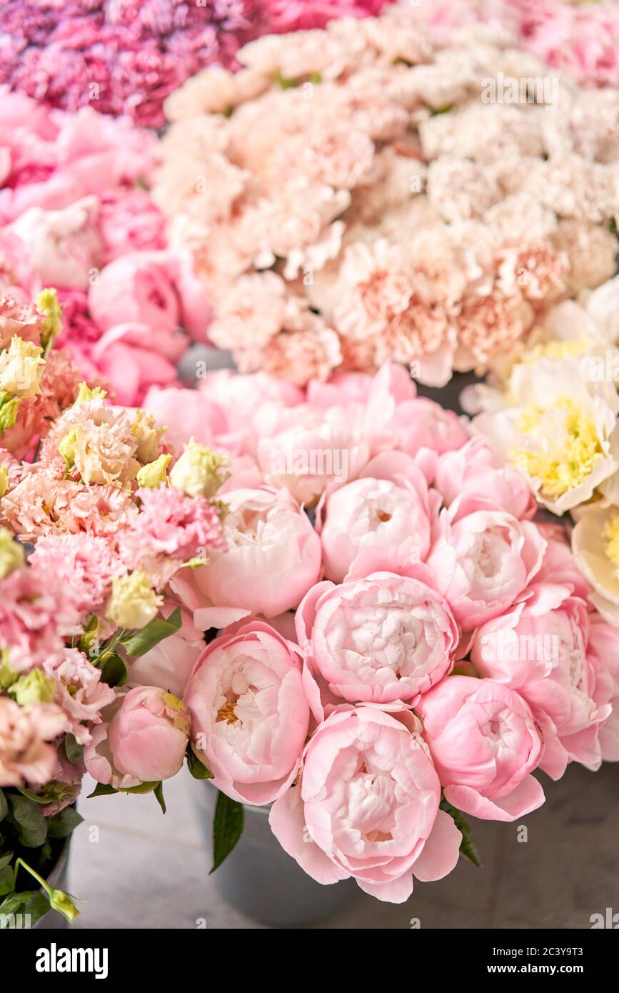 Captivating Best Flower Catalogs Picture for Mobile Captivating Best Flower Catalogs Picture for Mobile