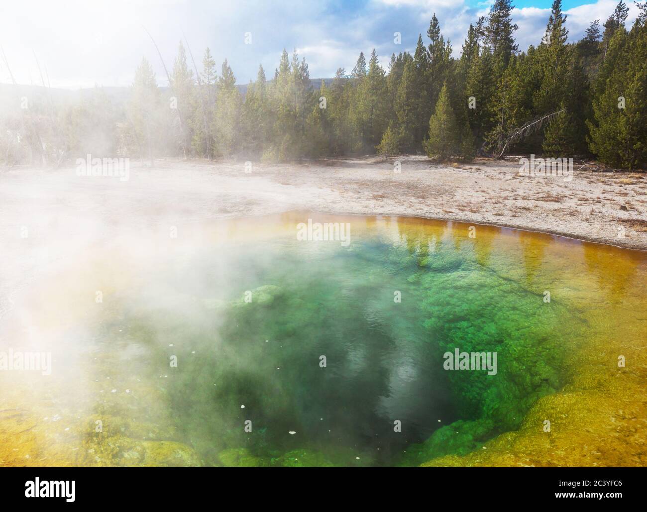 Colorful Morning Glory Pool famous hot spring in the Yellowstone National Park, Wyoming, USA