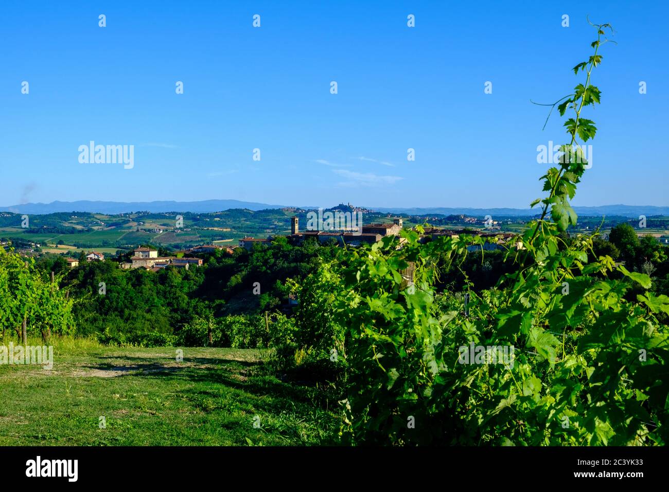 Vineyards in Rosignano Monferrato, Piedmont, Italy Stock Photo