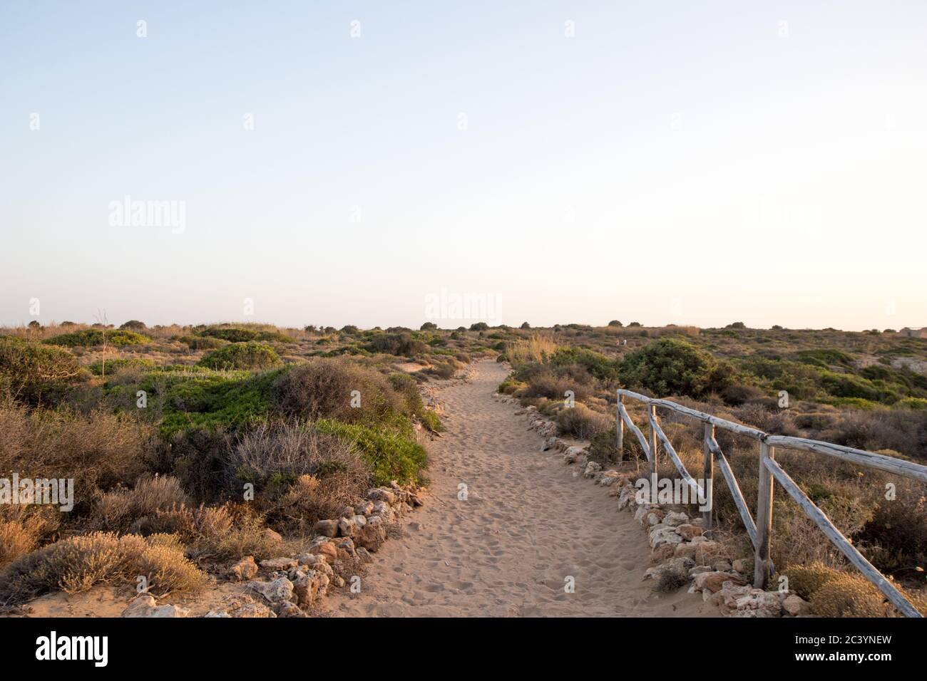 Sand path with fence to the right and green shrubs by sea Stock Photo