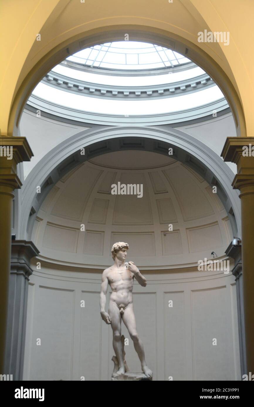 Michelangelo's David is one of the most important statues of the